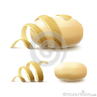 New Yellow Raw Whole Peeled Potato with twisted peel Isolated Vector Illustration