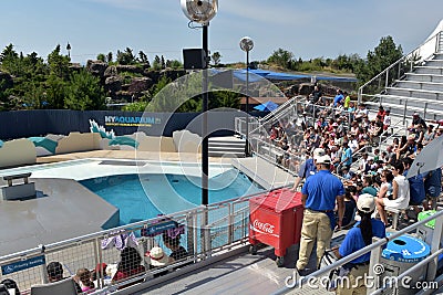 New York Aquarium Editorial Stock Photo