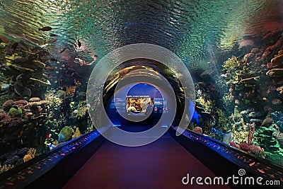 New York Aquarium 43 Editorial Stock Photo