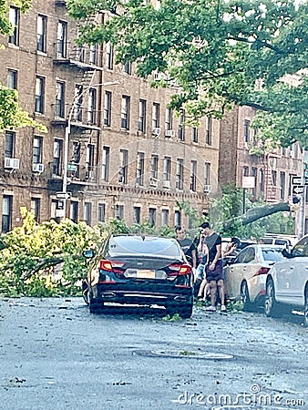 New york brooklyn after storm falling tree car Editorial Stock Photo