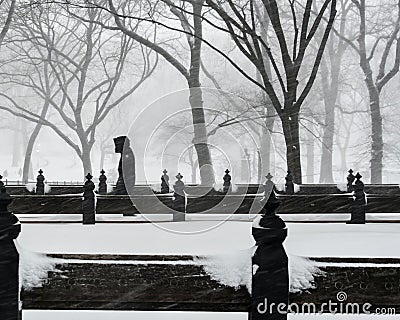 New York City, 1/23/16: Central Park covered in heavy snow during Winter Storm Jonas Editorial Stock Photo
