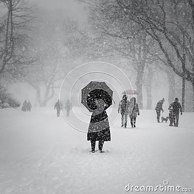 New York City, 1/23/16: Central Park covered in heavy snow during Winter Storm Jonas Editorial Stock Photo