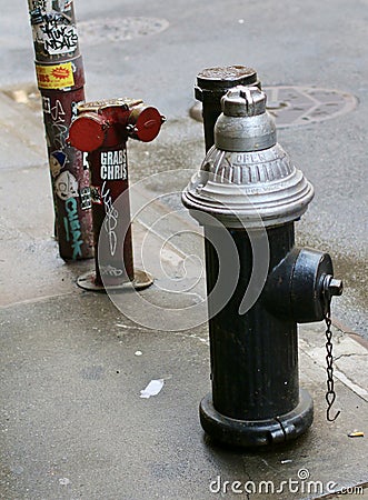 New York City fire hydrants. Editorial Stock Photo