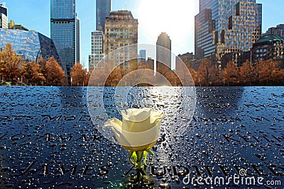New York City Ground Zero White rose close up Editorial Stock Photo