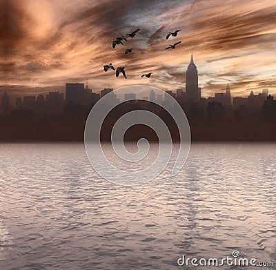 New York City Waterfront and Birds Flying Stock Photo