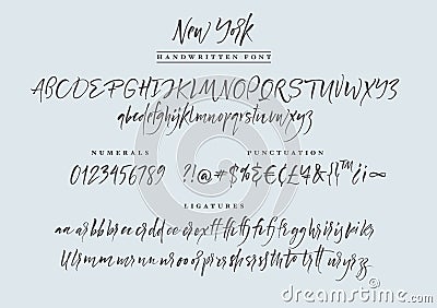 New York handwritten font. Script. Vector Illustration