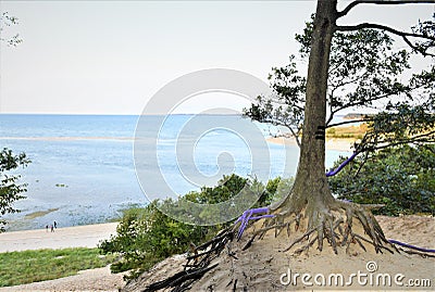 New york long island sunken meadow estuary art Stock Photo