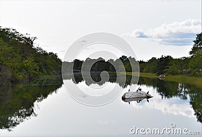 New york long island sunken meadow estuary birds Stock Photo