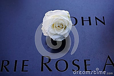 New York, New York: A single white rose placed at the 9/11 Memorial Editorial Stock Photo