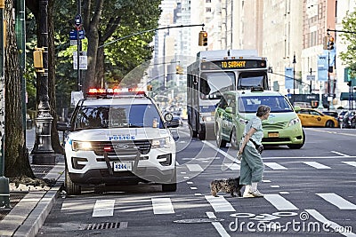 Pedestrian with a dog on zebra crossing with NYPD vehicle parked on a street by the Central Park. Editorial Stock Photo