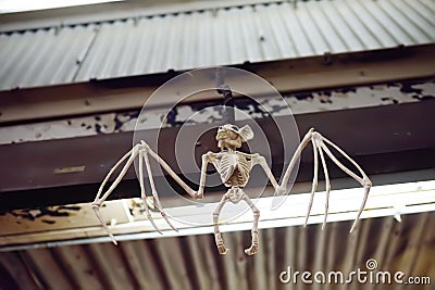 New York, USA - October 20, 2018: Halloween decoration in Chelsea Market of food at evening. Hanging skeleton of bat over the Editorial Stock Photo