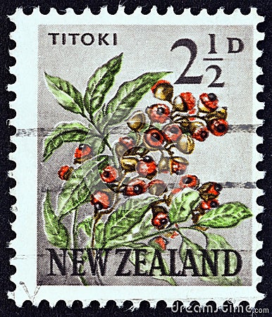NEW ZEALAND - CIRCA 1960: A stamp printed in New Zealand shows Titoki Alectryon excelsum, circa 1960. Editorial Stock Photo
