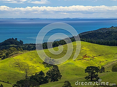 New Zealand erosion landscape green hills with sea Stock Photo
