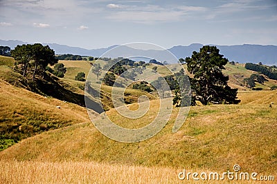 New Zealand hills Stock Photo