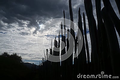 New Zealand Maori carvings 4 Stock Photo