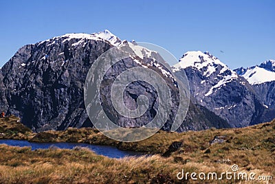 New Zealand Milford Track Stock Photo