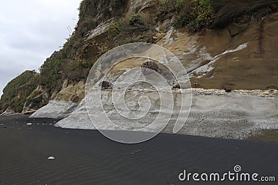 New Zealand North island Tongaporutu the black sandy Three Sisters Beach Area 15 km south from Mokau,New Zealand Stock Photo