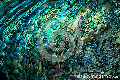 New Zealand paua shell background Stock Photo