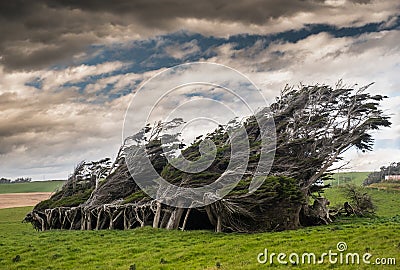 NEW ZEALAND SLOPE POINT Stock Photo