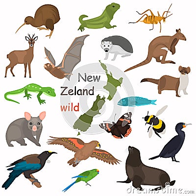 New Zeland wild animals color flat icons set for web and mobile design Stock Photo