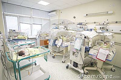 Newborn babies in birth hospital Editorial Stock Photo