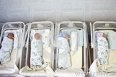 Newborn babies in materinity hospital Editorial Stock Photo