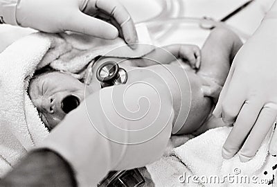 Newborn Baby Stock Photo