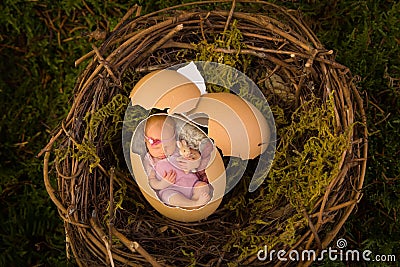 Newborn baby in bird's nest Stock Photo