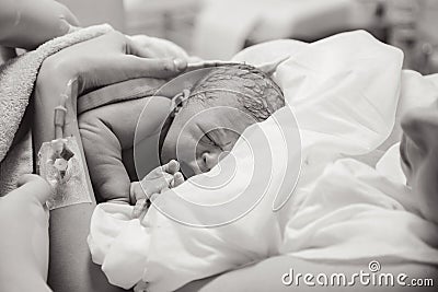 Newborn baby boy after birth Stock Photo