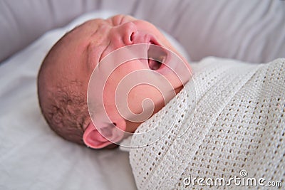 A newborn baby is crying swaddled on the bed. Child is a boy in a cocoon on a cot Stock Photo