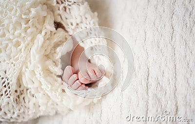 Newborn Baby Feet. Newborn Child. Baby Legs In Knitted Blanket. Beige Background Stock Photo
