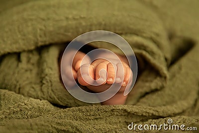 Newborn baby feet in a green wrap at natural light, closeup of tiny toes, indoor photography Stock Photo