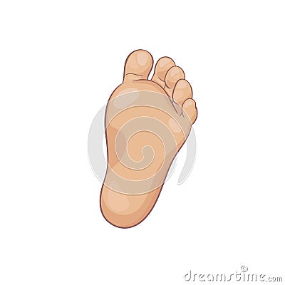 Newborn baby foot sole, bottom view. Tiny plump foot with cute heel and toes. Realistic caucasian skin colours. Vector Vector Illustration