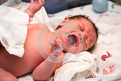 Newborn baby girl moments after being born Stock Photo