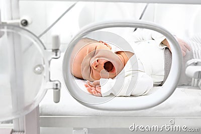 Newborn baby in an incubator. Stock Photo