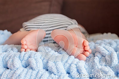 newborn baby legs in baby cot, the concept of motherhood fatherhood Stock Photo