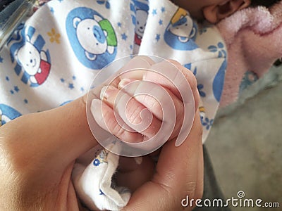 newborn baby and mothers hands with soft focus Stock Photo