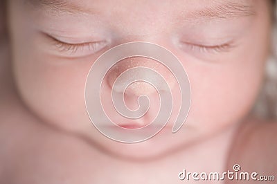 Newborn Baby Nose Stock Photo