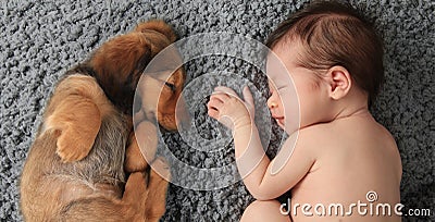 Newborn baby and puppy Stock Photo