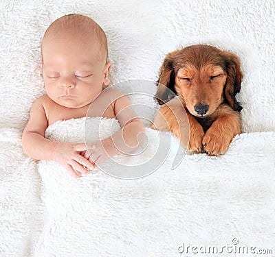 Newborn baby and puppy Stock Photo