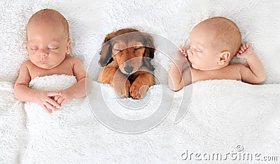 Newborn baby and puppy Stock Photo