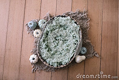 Newborn digital background - natural oval woven bowl with green fluffy faux fur layer, jute and colorful pumpkins on wooden Stock Photo