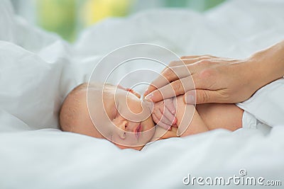 The newborn falls asleep in the mother`s hands. Stock Photo