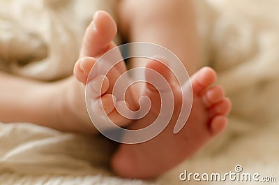 Newborn feet Stock Photo