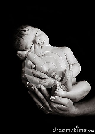 Newborn Hands Stock Photo