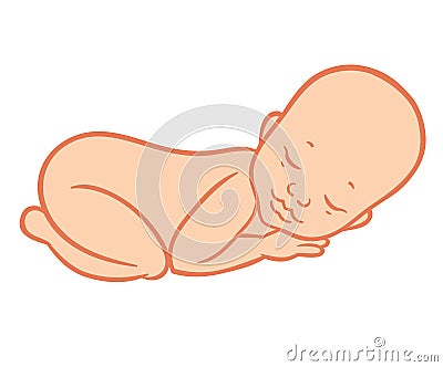 Newborn little baby Vector Illustration