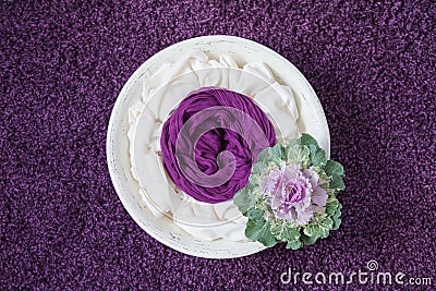 Newborn photography props white wooden bowl with decorative cabbage on a purple background Stock Photo