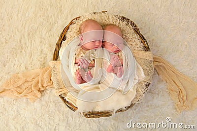 Newborn twin babies Stock Photo