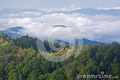 Newfound Gap Stock Photo