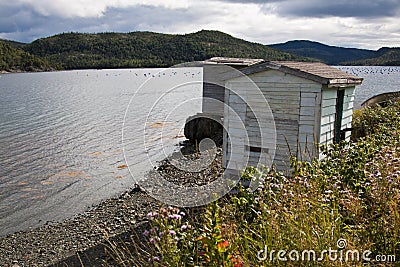 Newfoundland fishing shacks Stock Photo